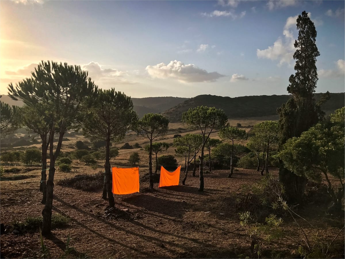 Laranja